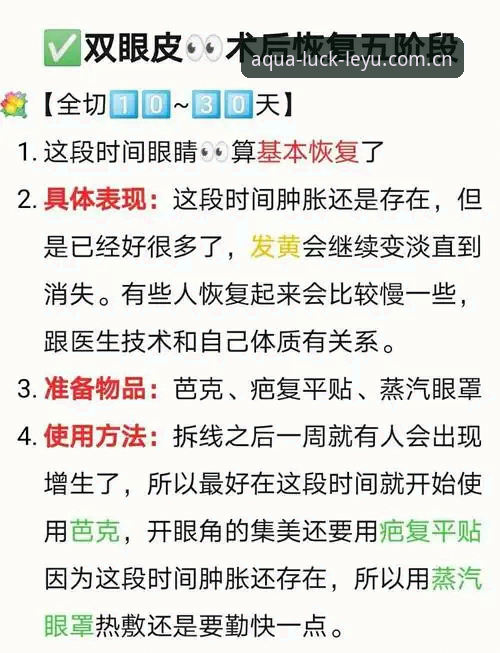 乐鱼联赛推荐必备要点全面解析：从SPORT入门到数据追踪的实操指南